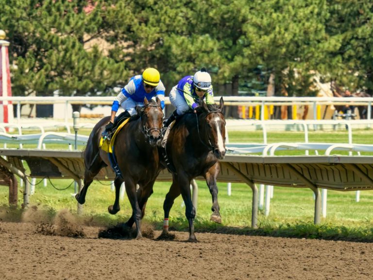 Corridas de Cavalos