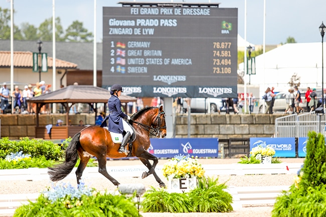 Apostas em Eventos de Equitação: Estratégias para Competir no Mundo Equestre