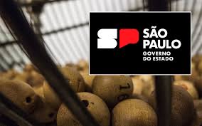 Governo Tarcísio Autoriza Licitação de Loteria Estadual em São Paulo